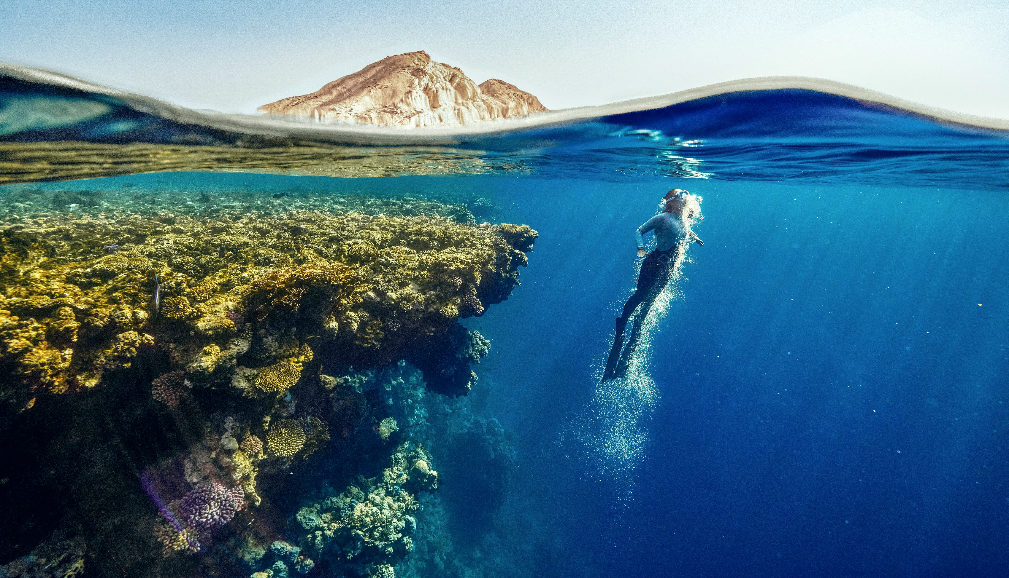 A split level photograph: an island above the waterline, a reef and a swimmer below it.